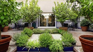 A courtyard with potted plants, a seating area, and a building with a tiled entrance.