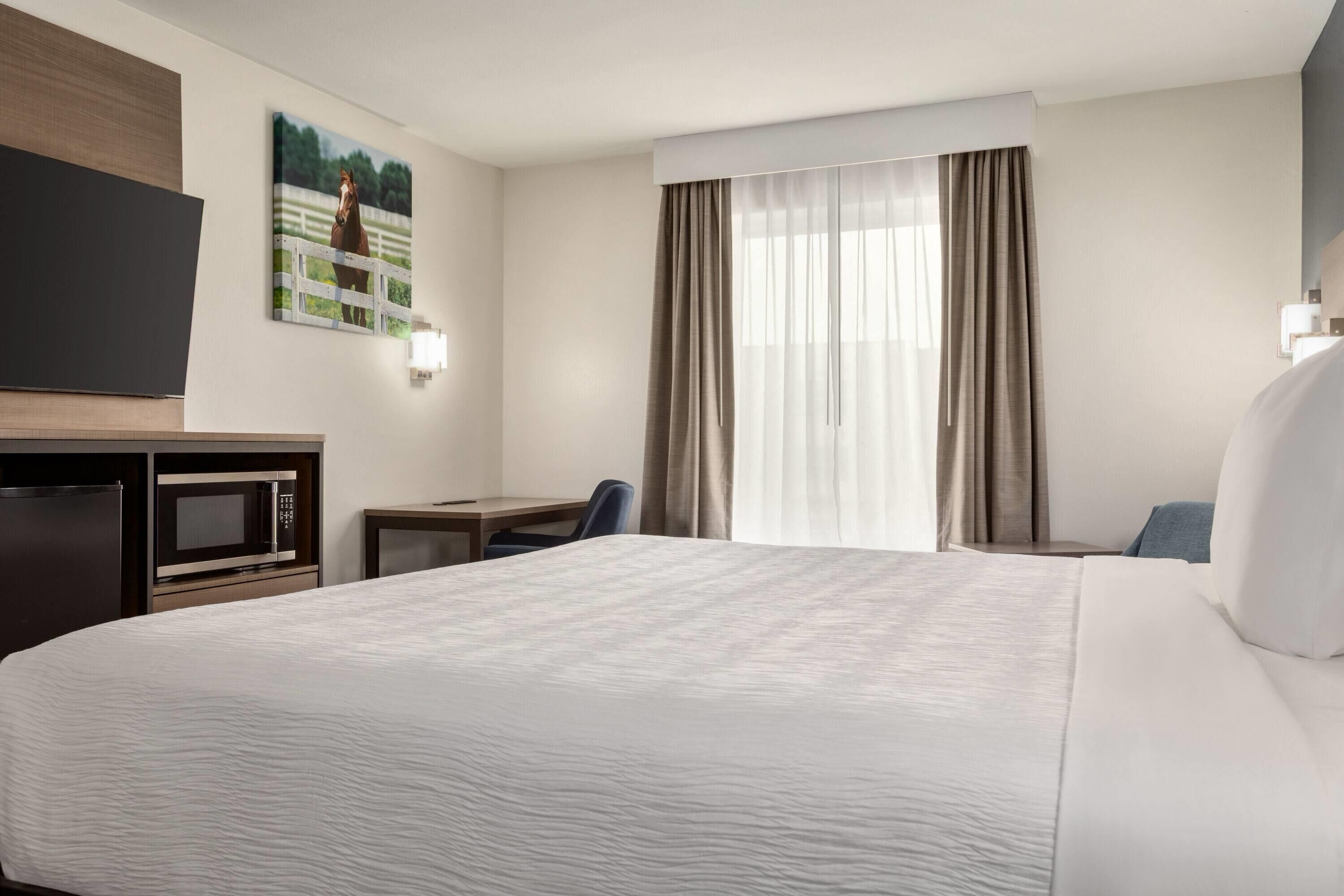 A hotel room with a large bed, a desk with a microwave, a chair, a TV on the wall, and a window with curtains.