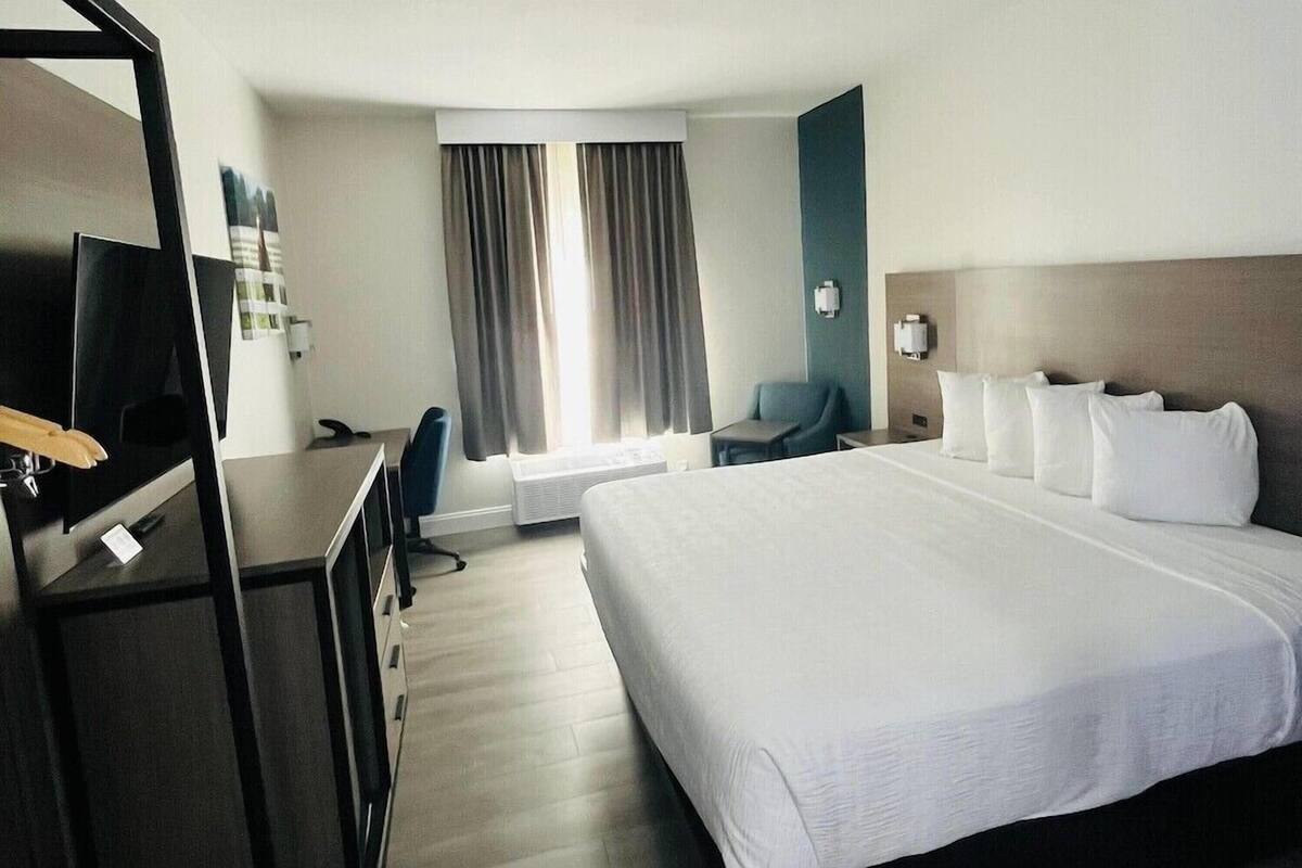 Desk, free WiFi, bed sheets