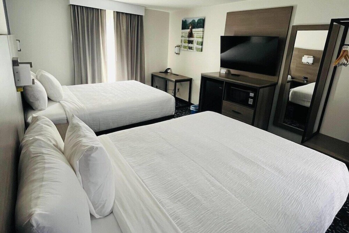 Une chambre d’hôtel avec deux lits, une télévision, un bureau et un miroir.