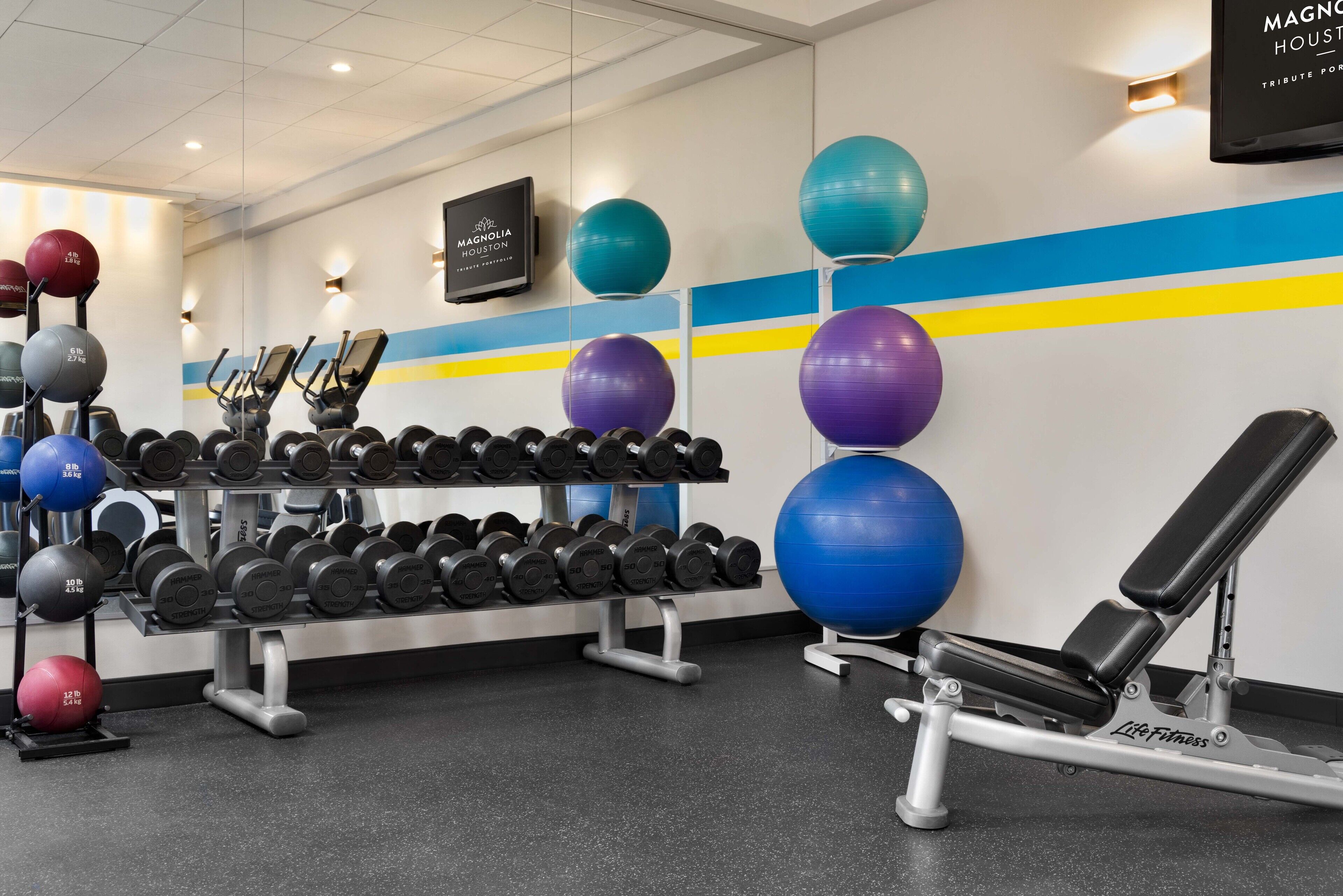 A gym with exercise equipment, including dumbbells and exercise balls, and a bench.