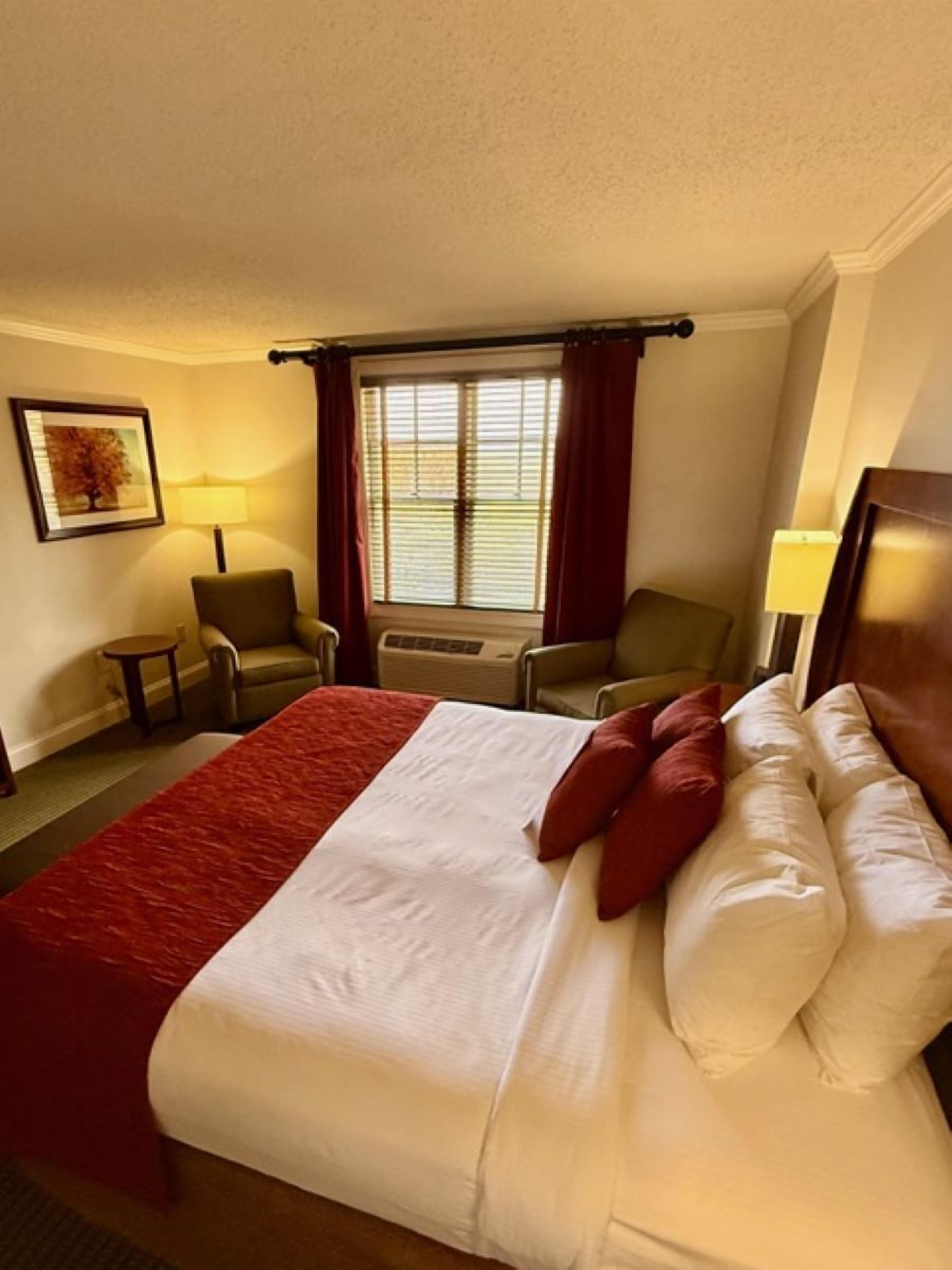 Suite, 1 King Bed, Balcony | Premium bedding, in-room safe, iron/ironing board, rollaway beds