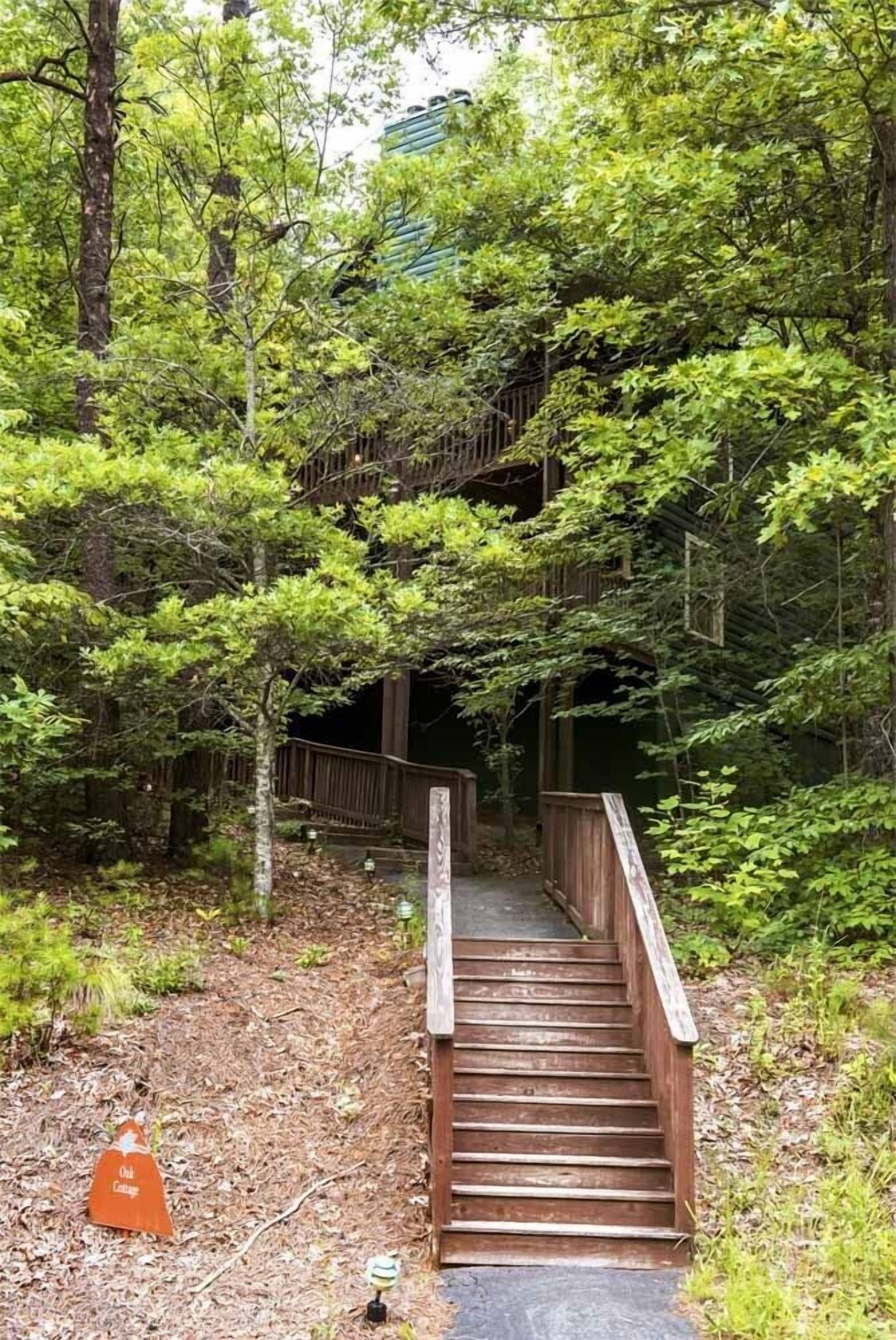 A wooden staircase leading up to a wooden structure surrounded by dense green foliage.