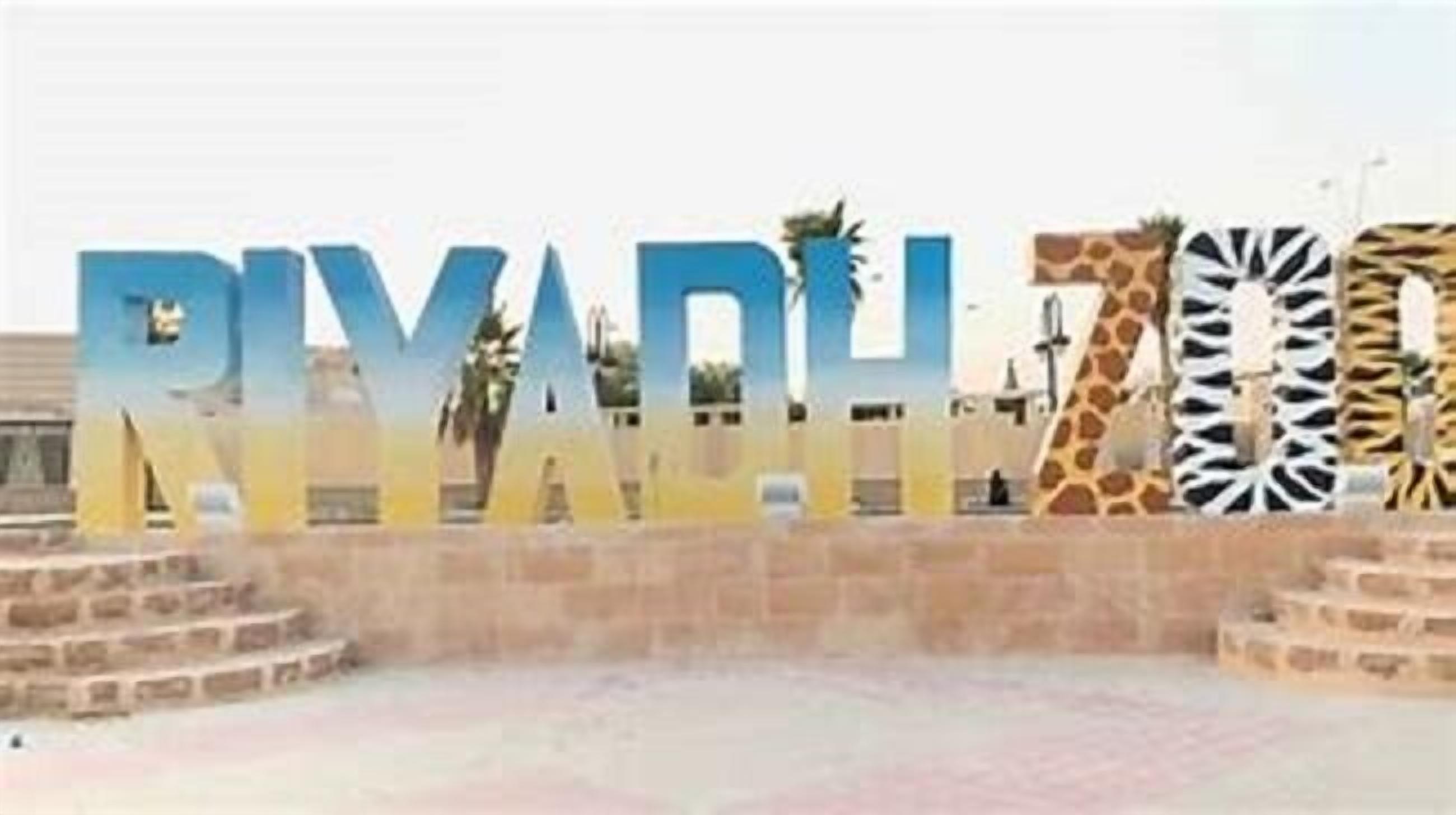 Foto - Holiday Inn Olaya by IHG