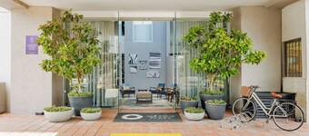 Hotel Suites Mexico Plaza Campestre