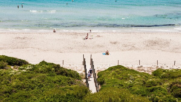 A beach with a wooden walkway leading to the water, surrounded by greenery.