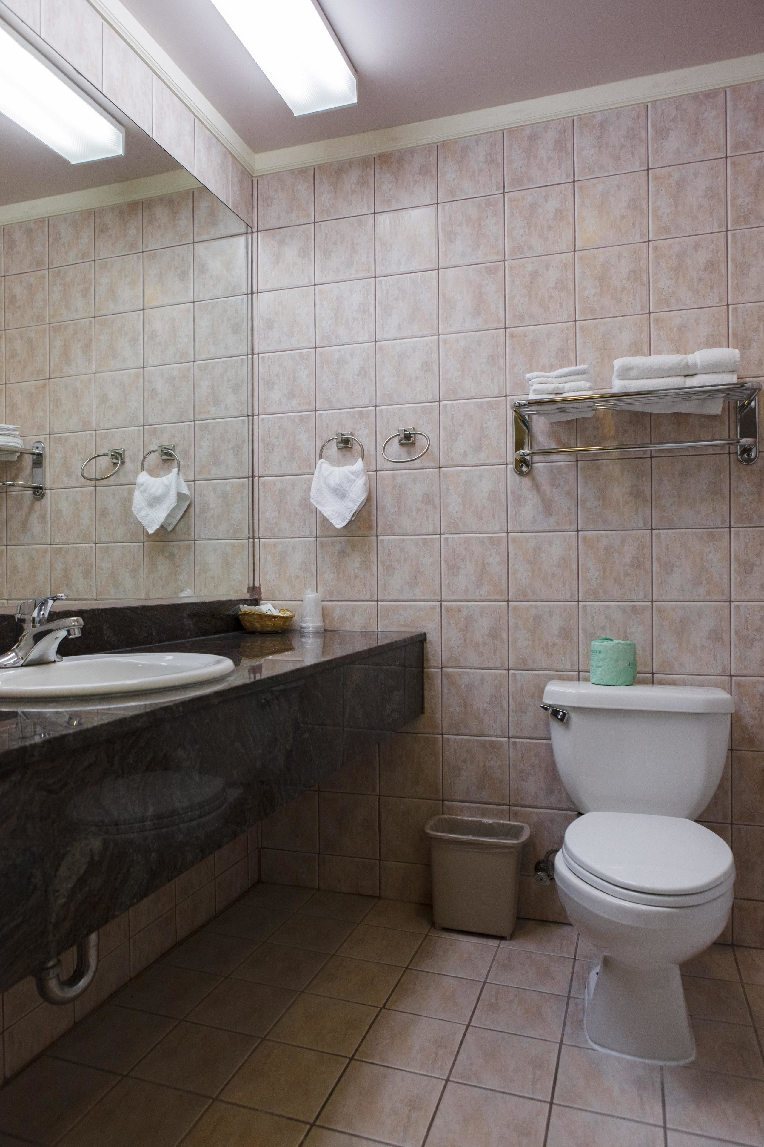 combined shower/bathtub, hair dryer, towels