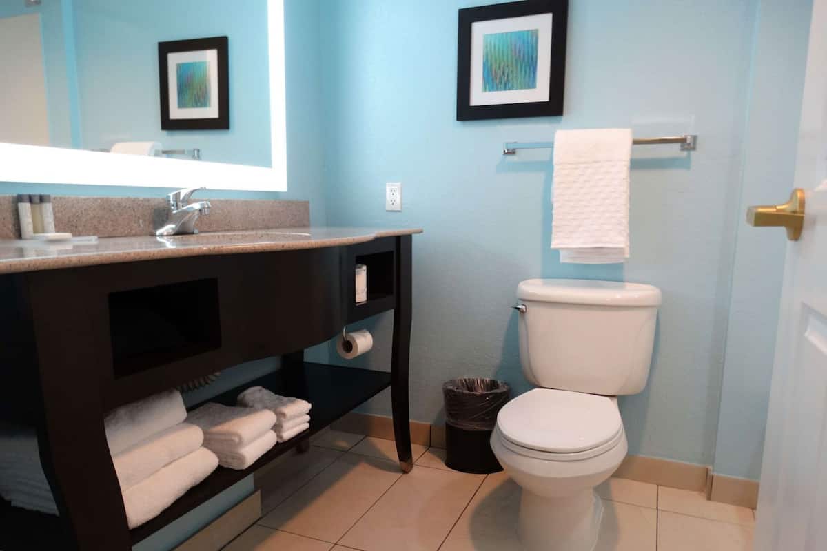 Bathroom | Eco-friendly toiletries, hair dryer, towels, soap