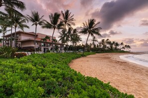 Un hotel frente a la playa con arena, palmeras y un edificio con balcones.