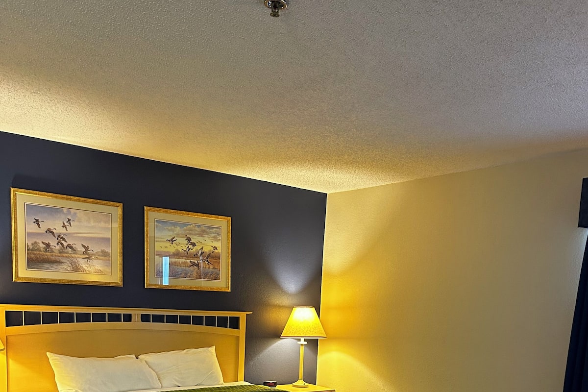Standard Suite, 1 King Bed