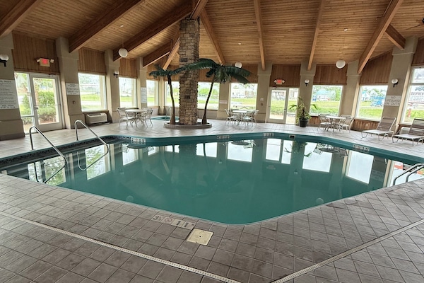 Indoor pool, sun loungers