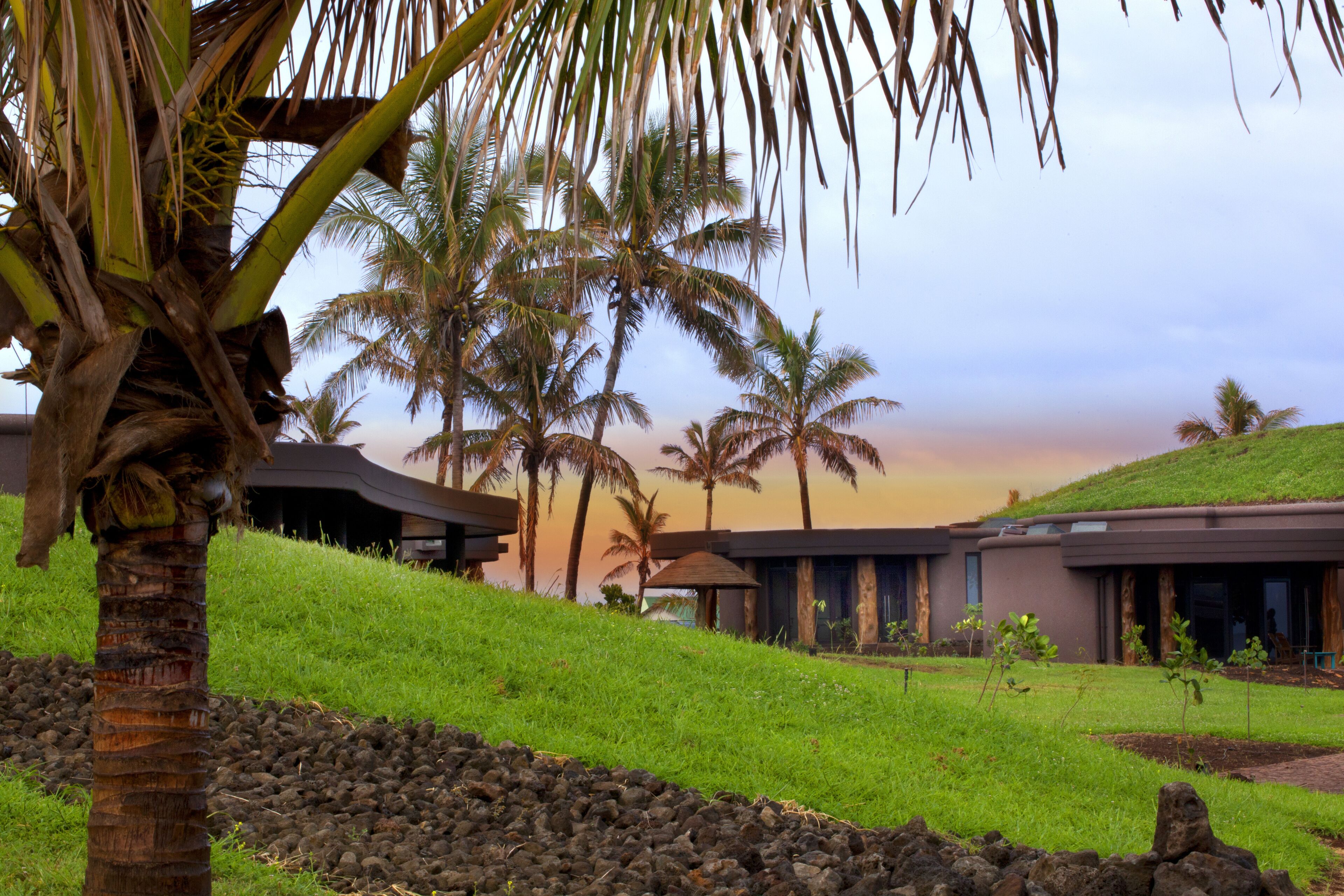 room (maunga) | garden view