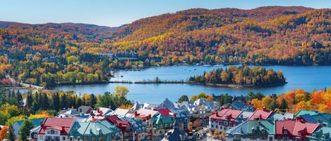 A lakeside town with historic buildings and a central square.