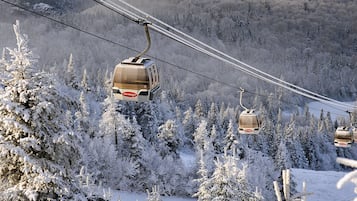 A cable car system in a snowy forest.