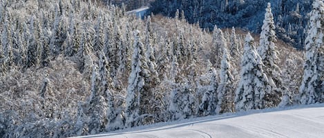 Un paysage de montagne enneigé avec deux skieurs.