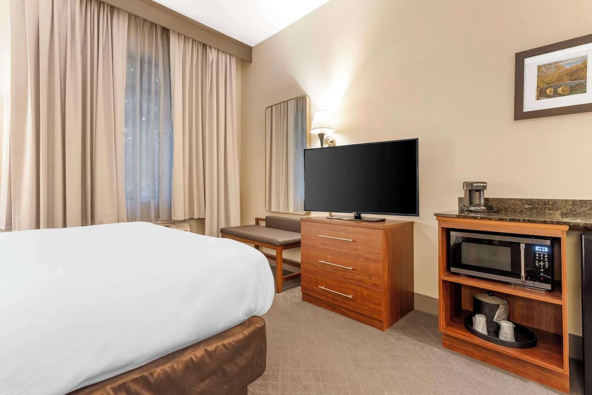 Basic Room, 1 Katil Raja (King), Accessible, Non Smoking | 1 bilik tidur, peti besi dalam bilik, meja, kalis bunyi