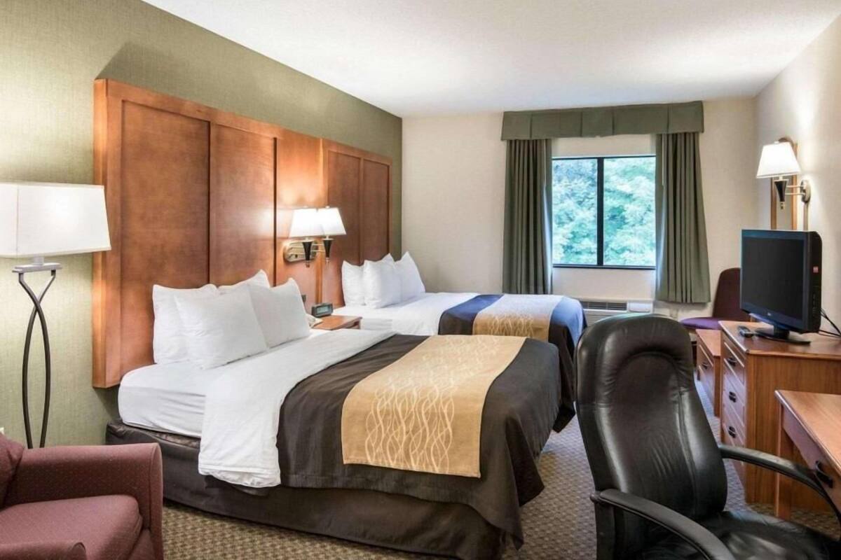 A hotel room with two beds, a desk, a chair, a television, and a window with a view of trees.