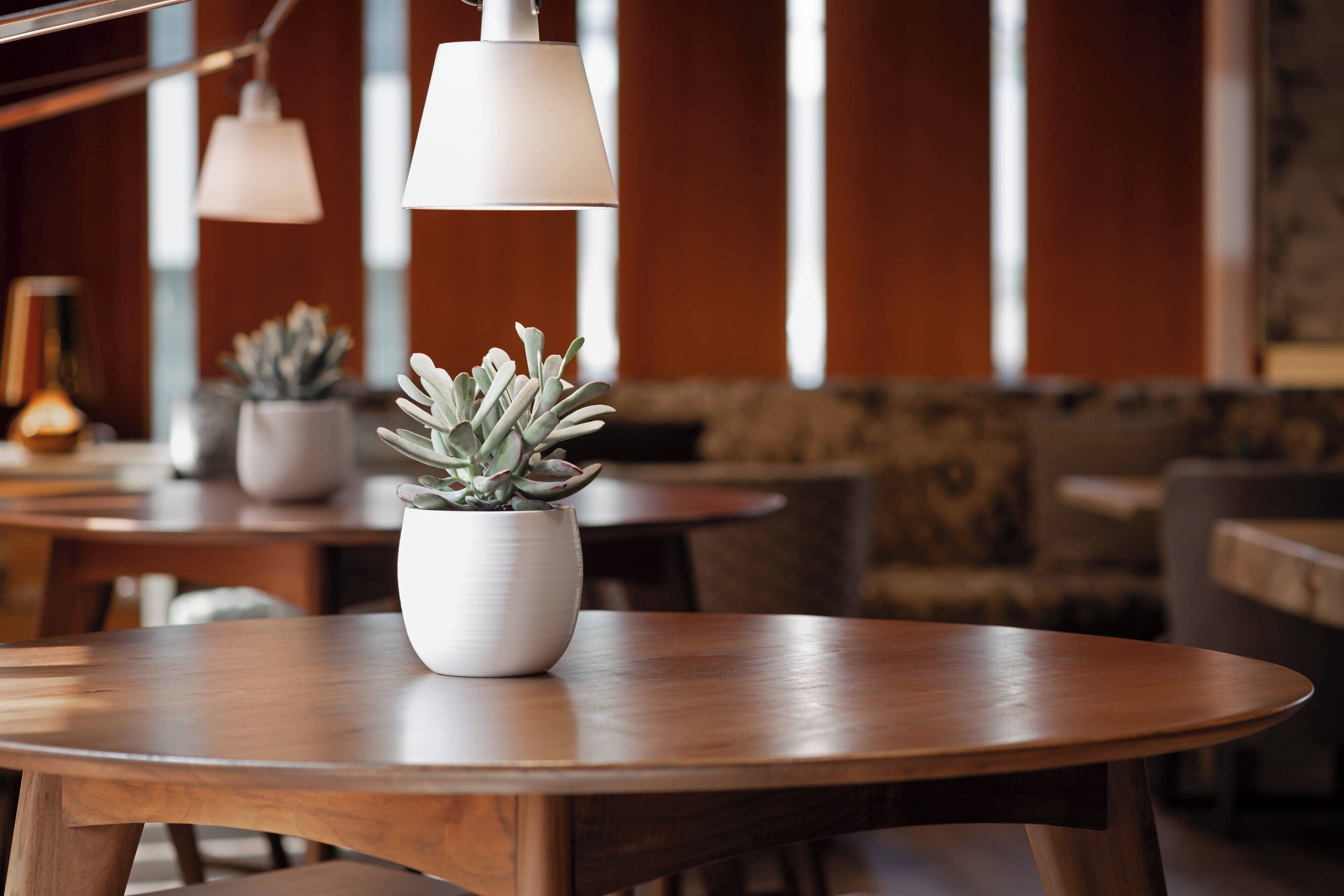 Foto - AC Hotel A Coruña by Marriott