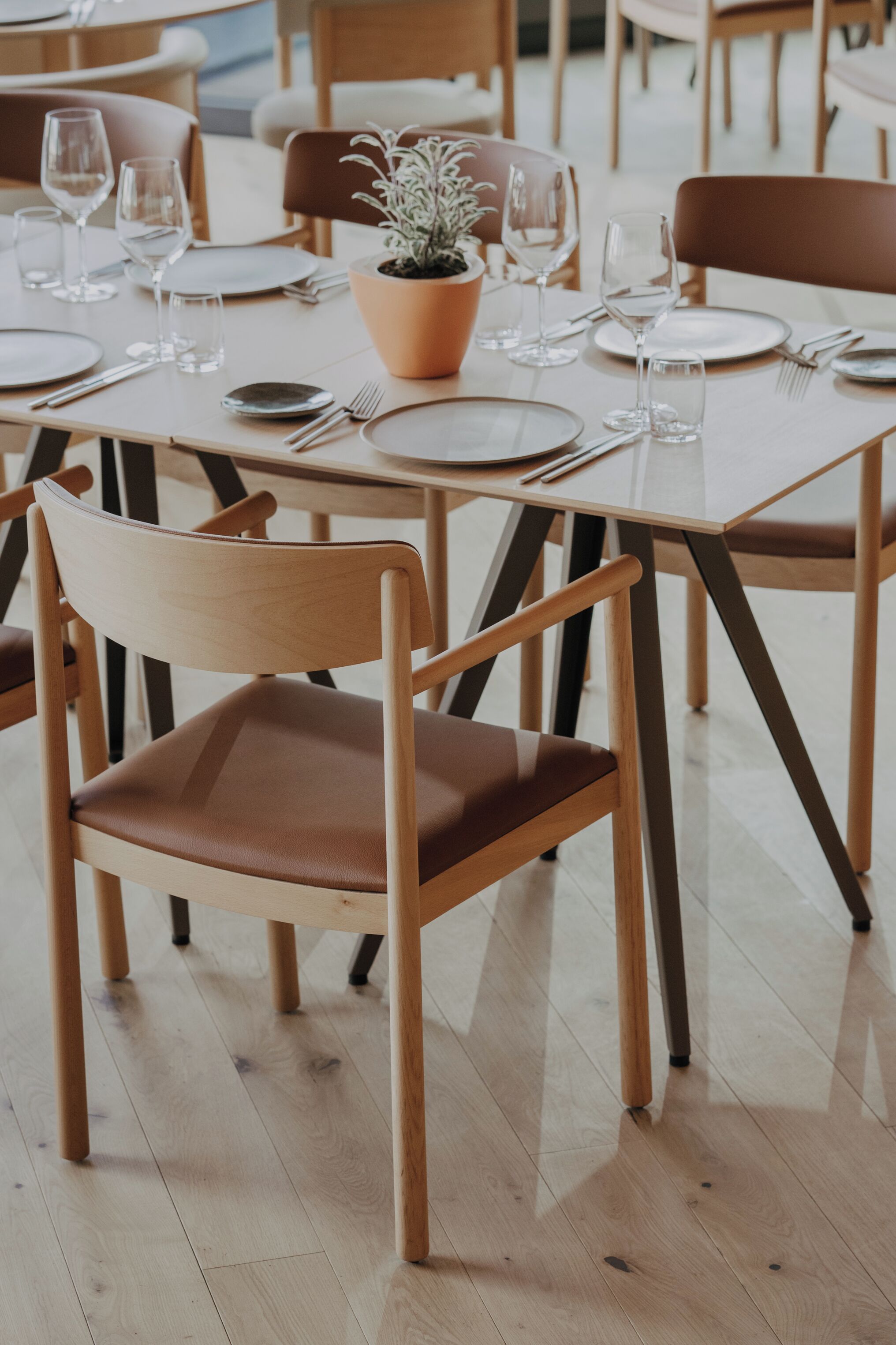 Un coin repas avec des tables et des chaises en bois, une plante en pot et des verres à vin vides.