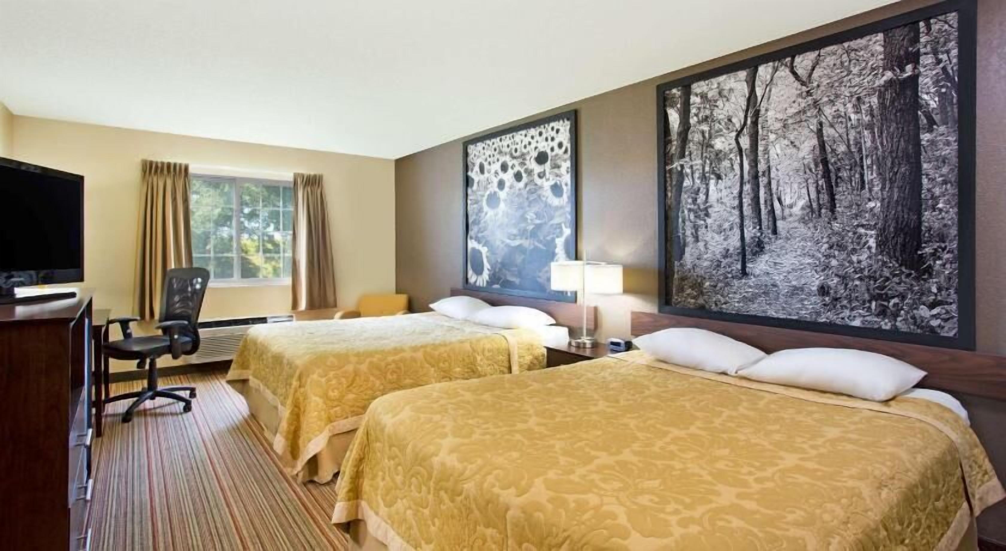 Desk, free cots/infant beds, free WiFi, bed sheets