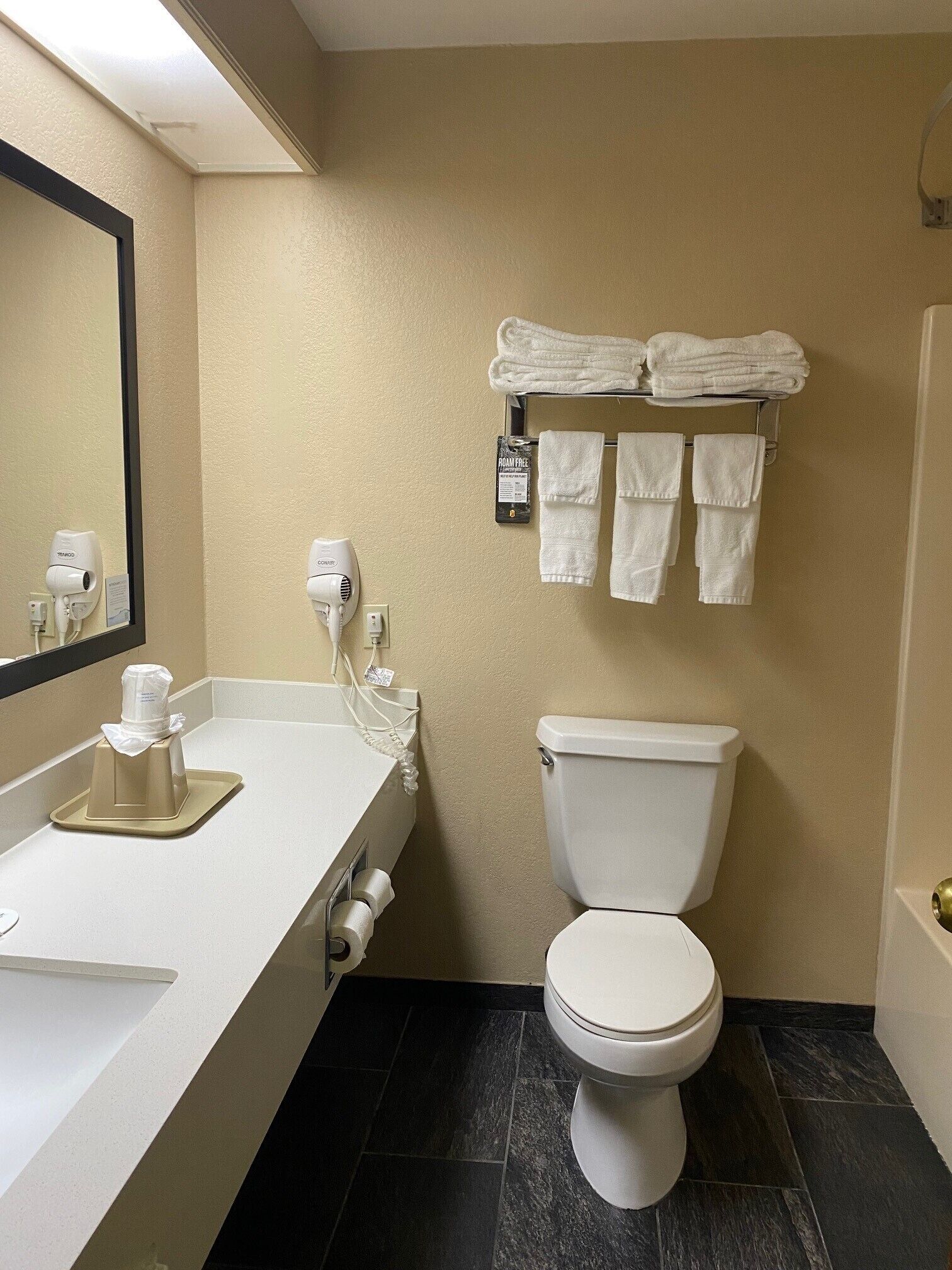 combined shower/bathtub, free toiletries, hair dryer, towels