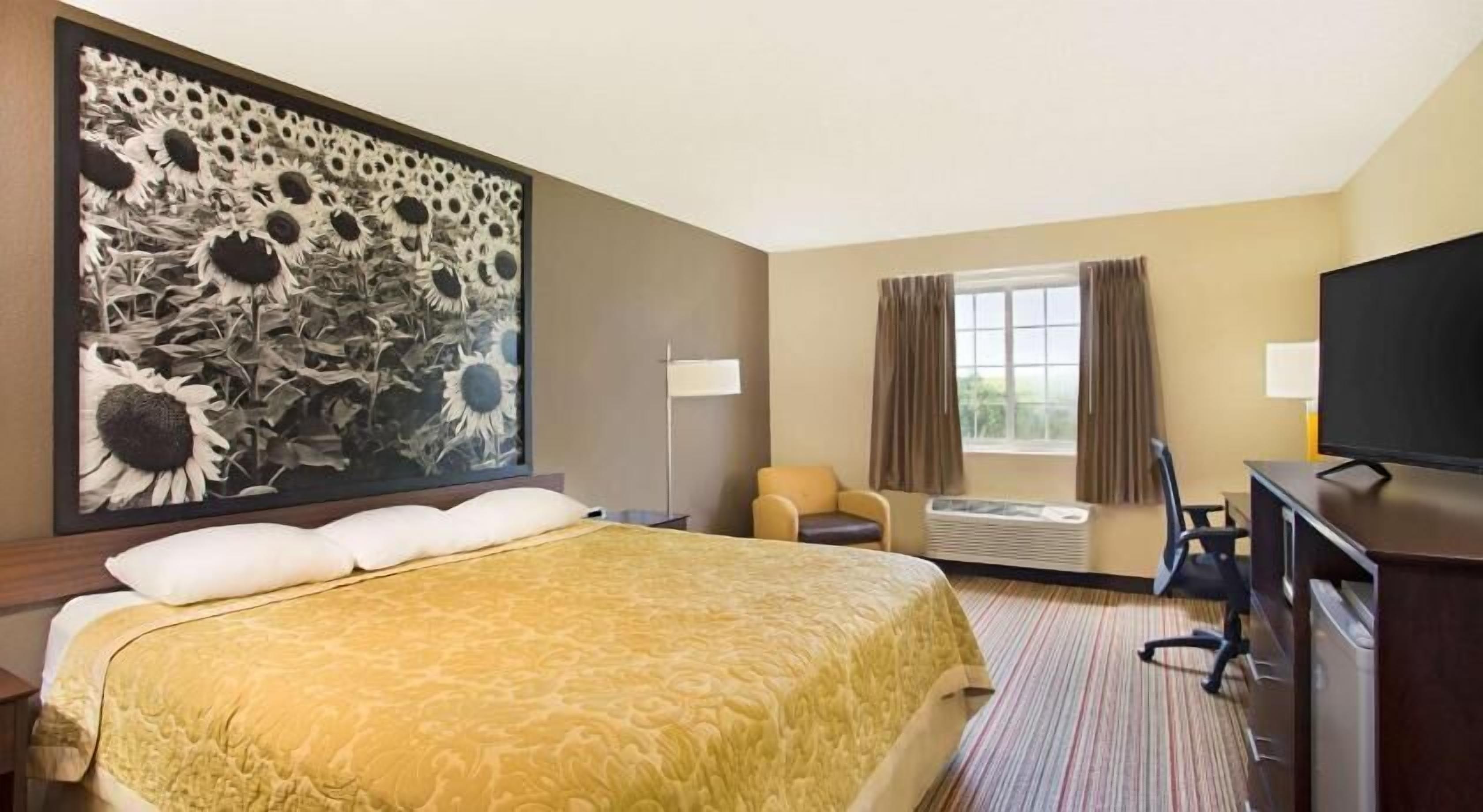 Desk, free cots/infant beds, free WiFi, bed sheets