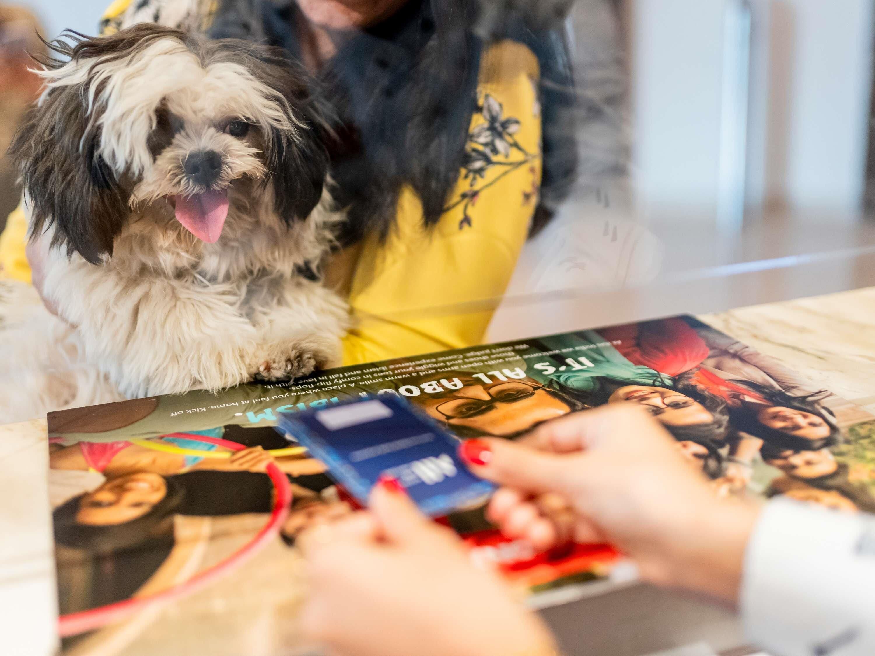 desk, blackout curtains, soundproofing, free cots/infant beds