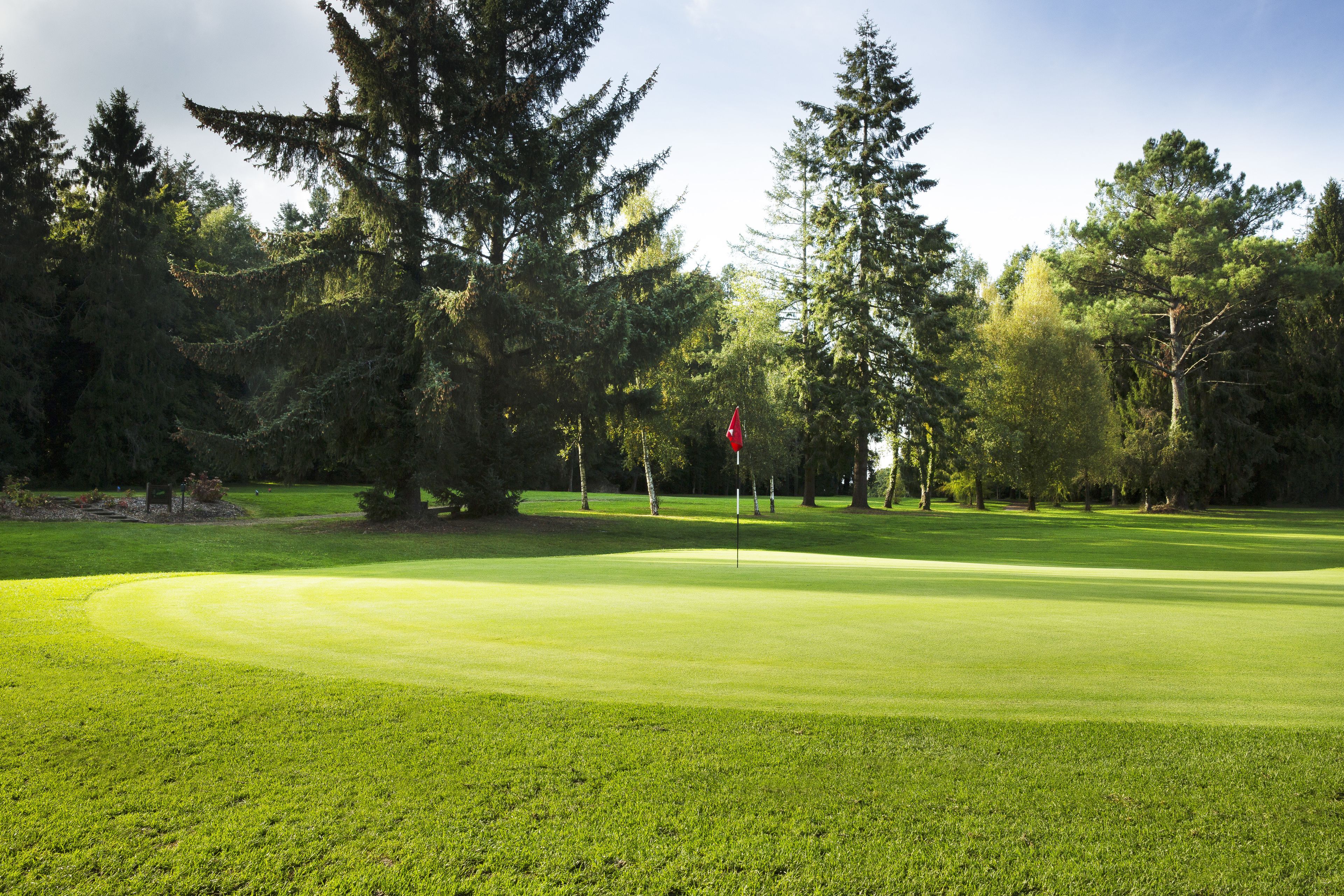 Een golfbaan met een verzorgd gazon, omgeven door hoge bomen en een heldere lucht.