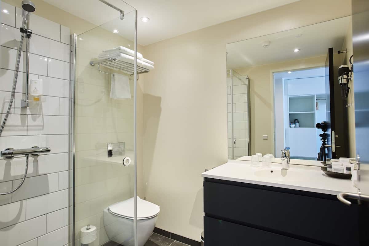 eco-friendly toiletries, hair dryer, towels, soap