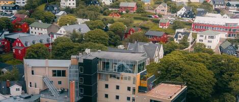 A residential area with modern and traditional houses, some with green roofs, and a mix of building styles.
