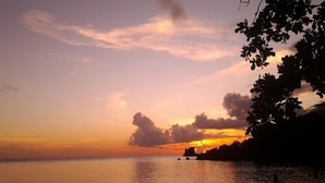 Um pôr do sol sobre um mar calmo, com a silhueta de uma árvore à direita.
