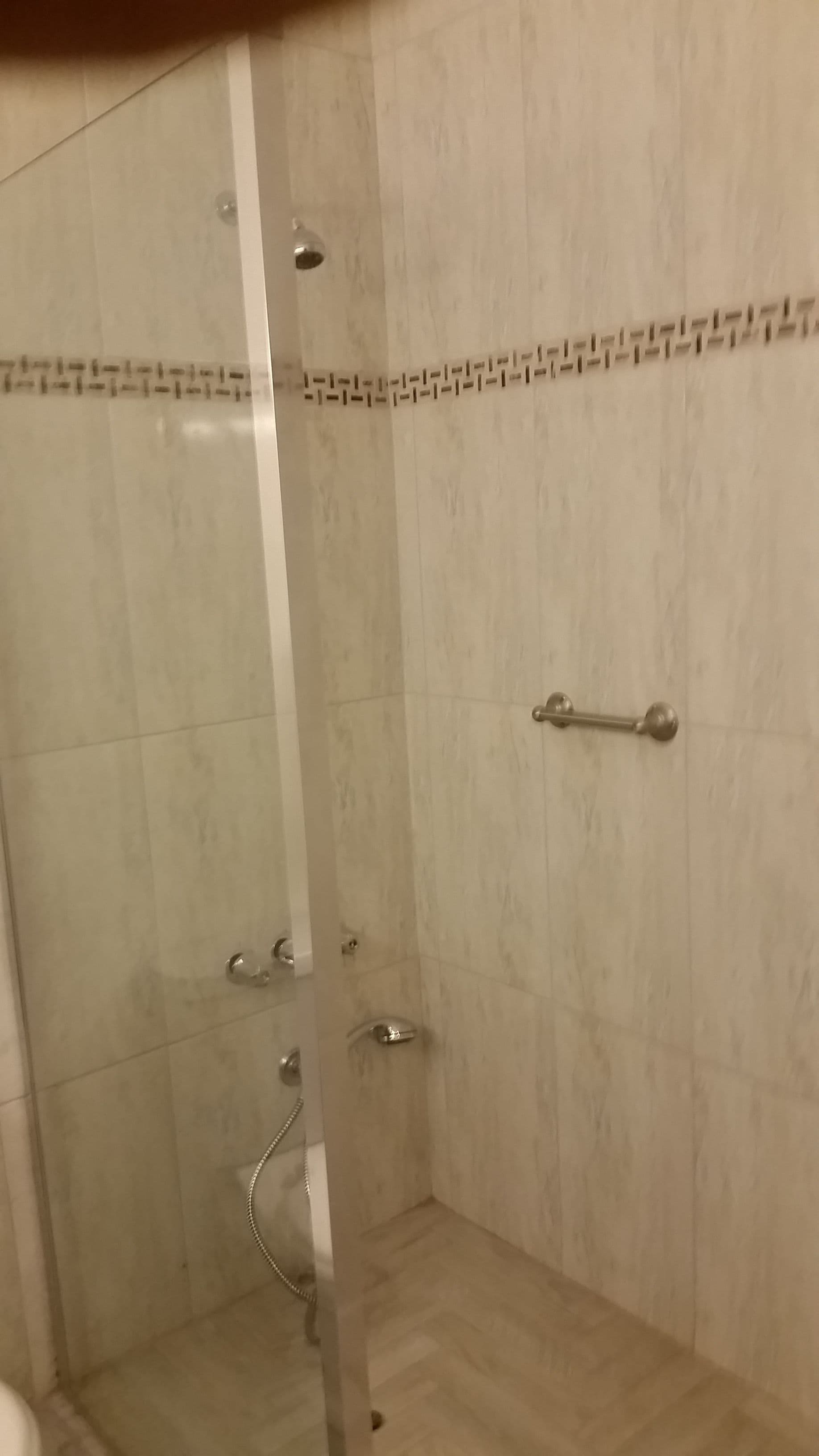 Ducha con puerta de vidrio, toallero y cabezal de ducha.