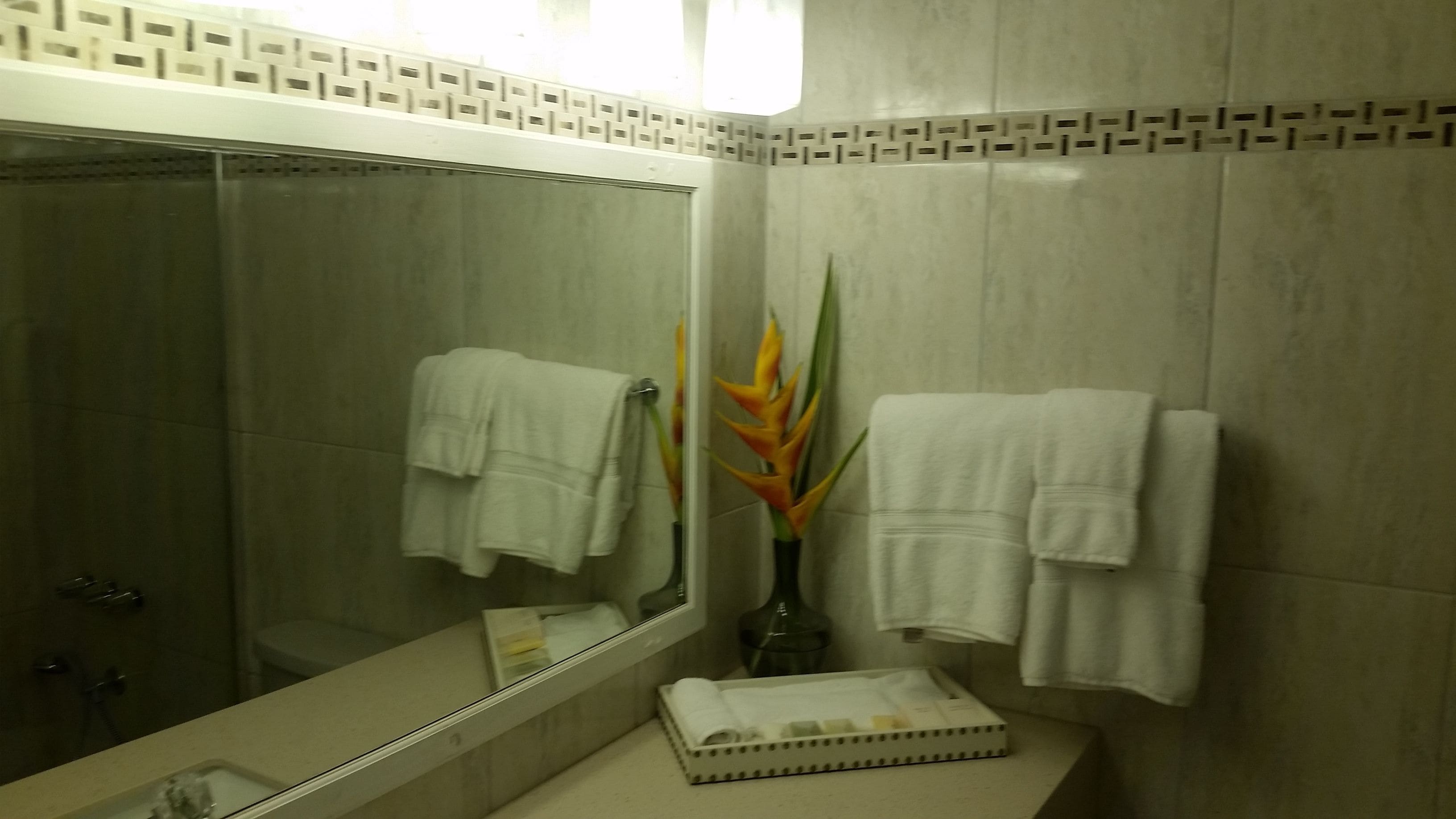combined shower/bathtub, free toiletries, hair dryer, towels