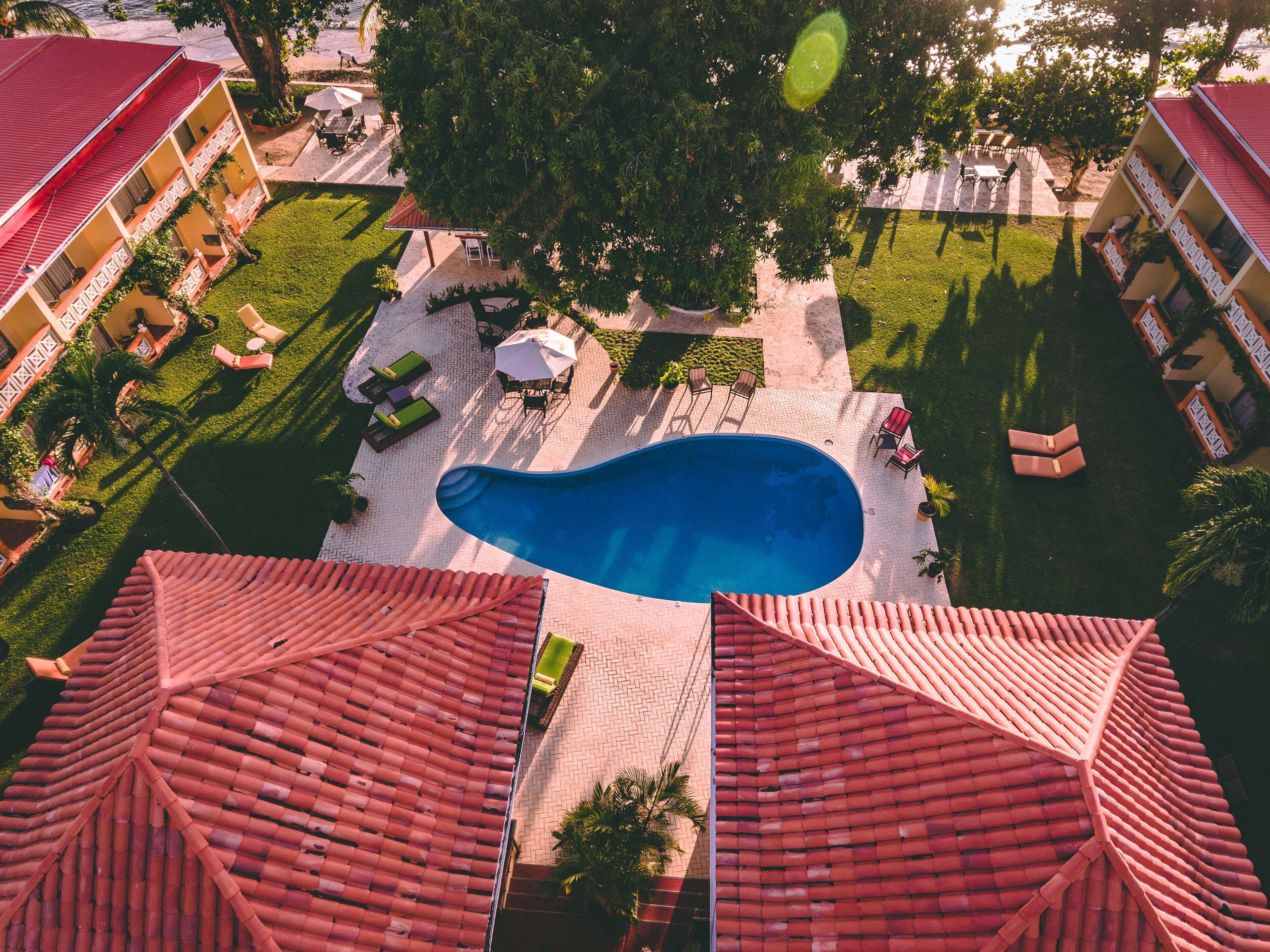 A rooftop swimming pool surrounded by lounge chairs and umbrellas, with red-tiled roofs and a landscaped garden.