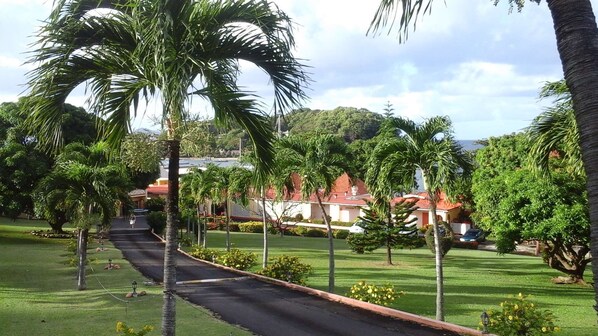 Un jardín bien cuidado con palmeras, un sendero pavimentado y un edificio con techo rojo al fondo.