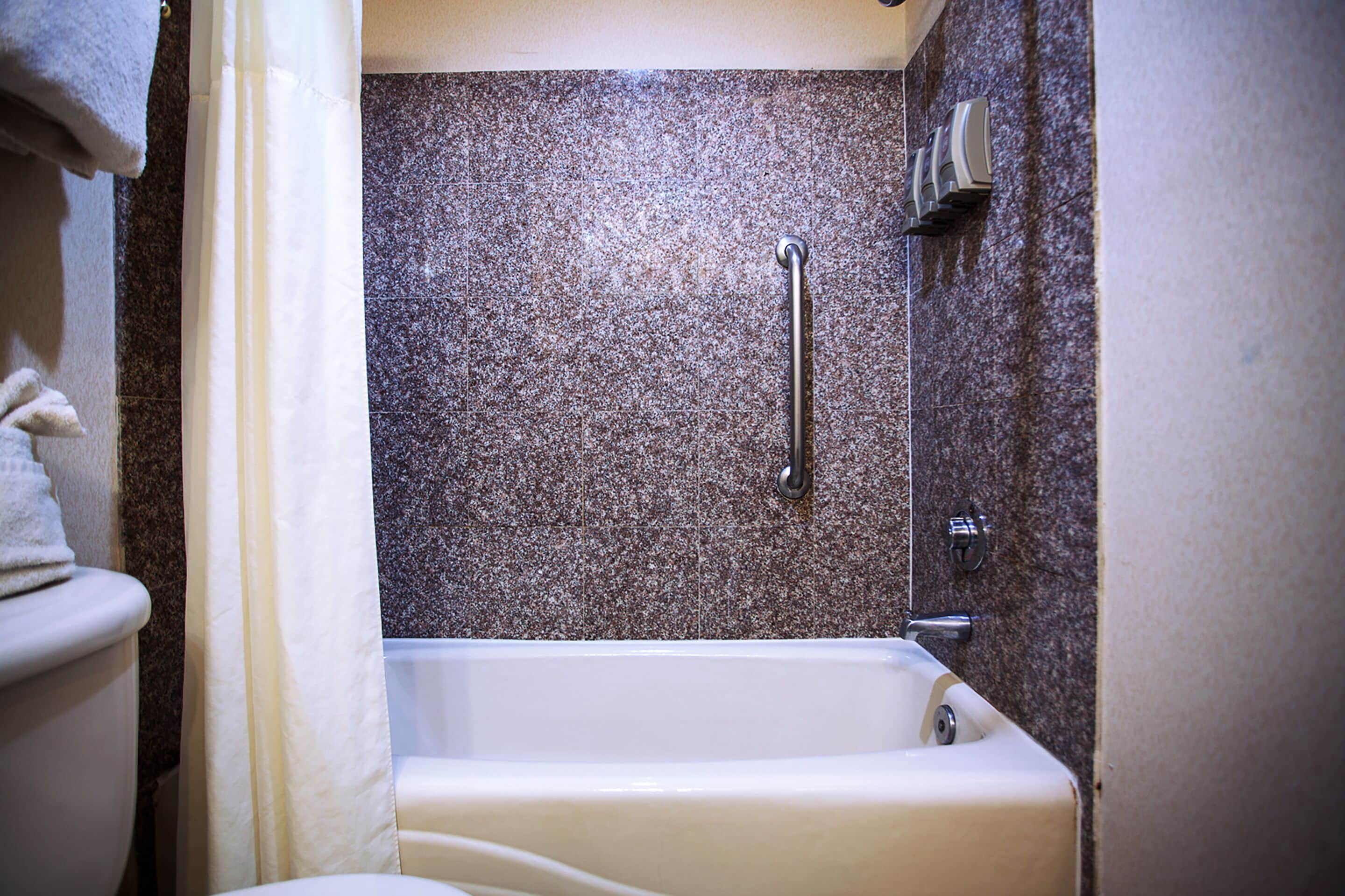 Une salle de bain avec une baignoire, une douche et des toilettes.