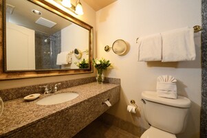 A bathroom with a granite countertop sink, a large mirror, a toilet, and a towel rack.