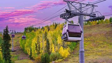 A cable car system with cabins suspended from a metal structure, surrounded by a forest with autumn-colored trees.