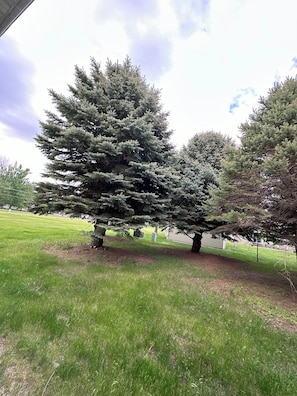 Een bureau, gratis wifi, beddengoed