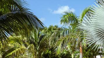 Jardín