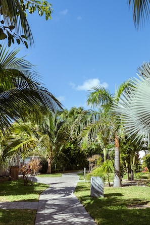 Jardí