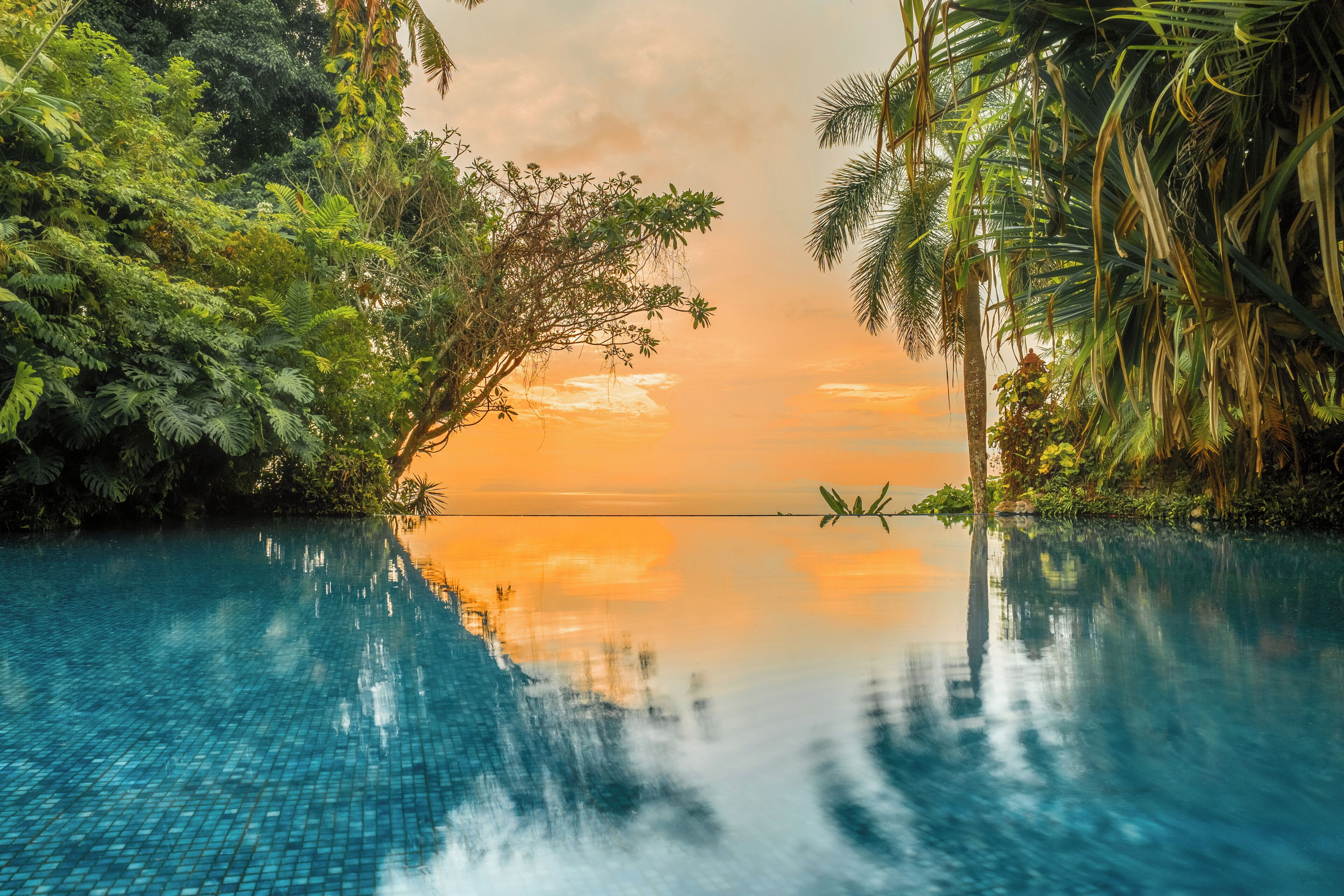 Outdoor pool, pool umbrellas, pool loungers