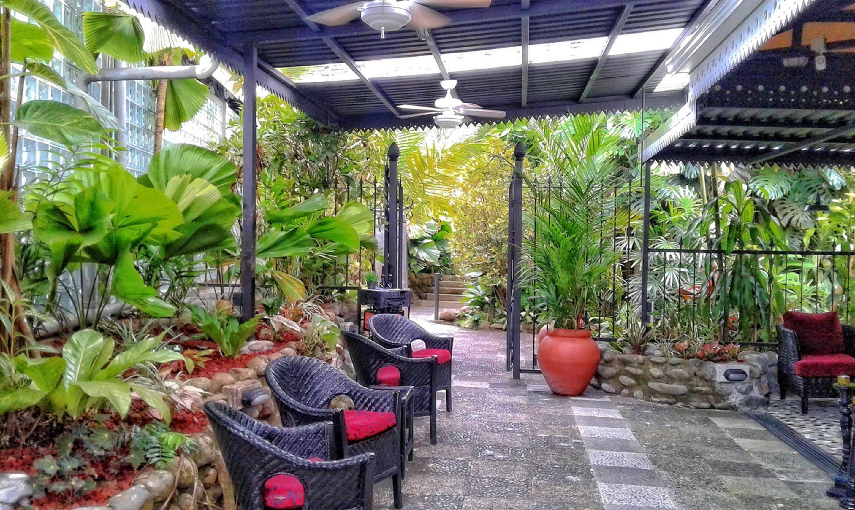 Un espacio de estar al aire libre techado con sillas de mimbre y una planta grande en maceta.