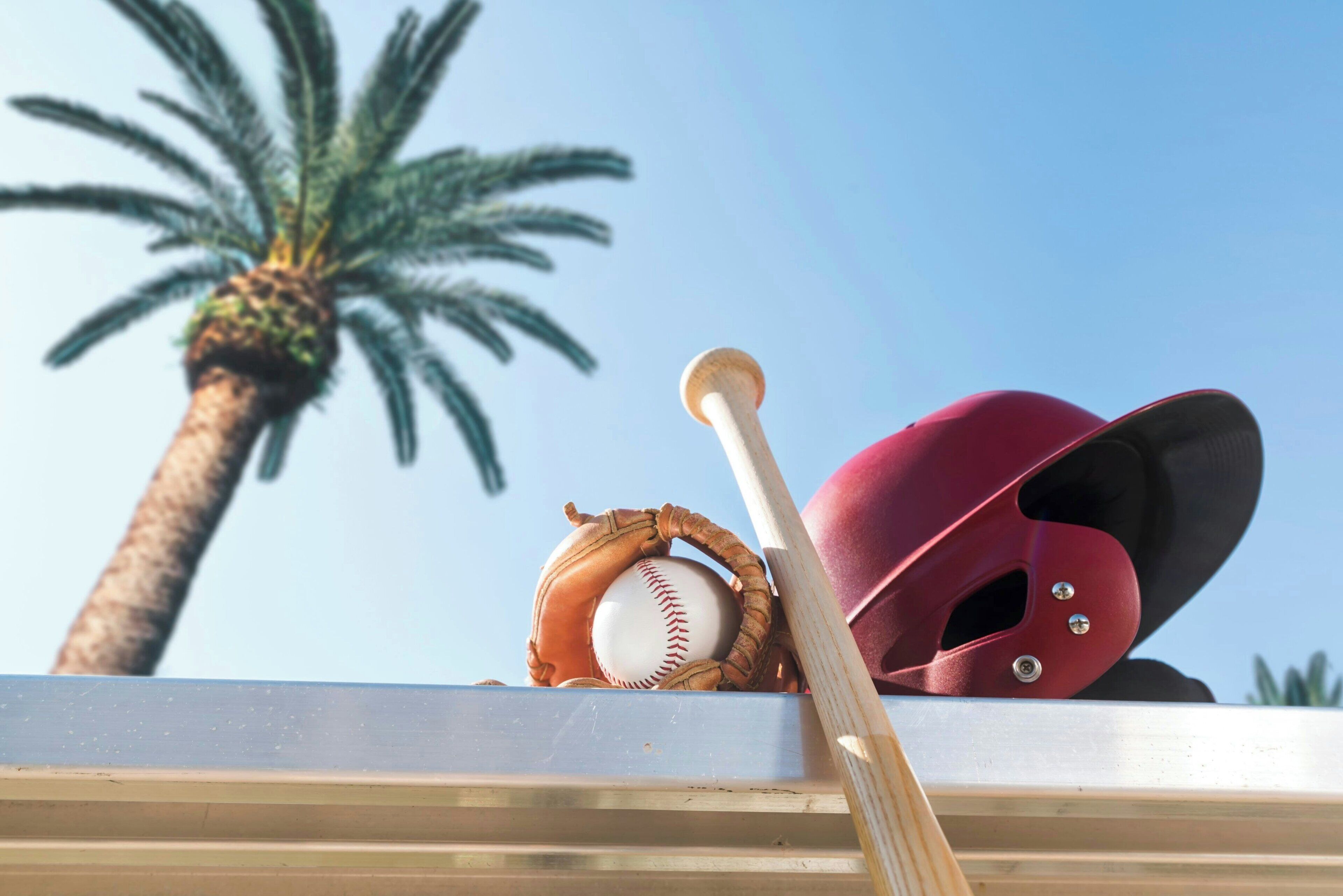 Une batte de baseball, un gant et un casque posés sur une étagère, avec un palmier en arrière-plan.