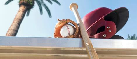 Une batte de baseball, un gant et un casque posés sur une étagère, avec un palmier en arrière-plan.