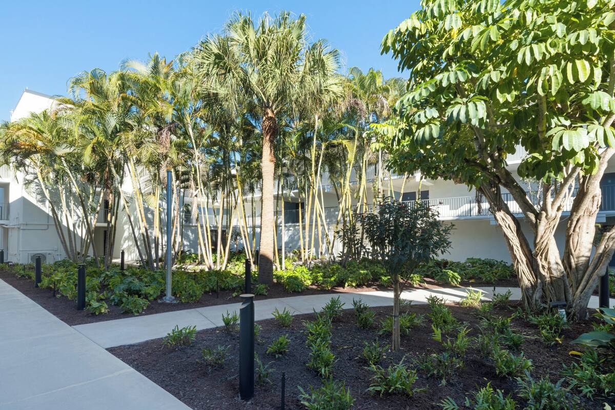 A landscaped garden with palm trees and various plants, a paved walkway, and a building with balconies in the background.