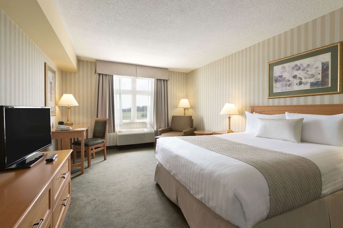 Pillow-top beds, desk, iron/ironing board, rollaway beds