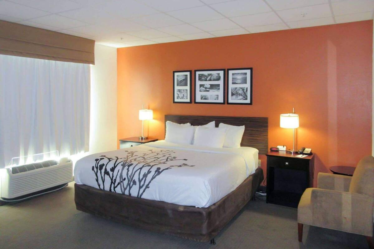Habitación de hotel con una cama grande, dos mesitas de noche con lámparas, una silla y una ventana con persianas.