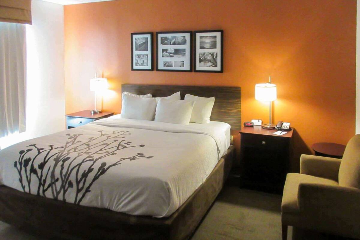 Una habitación de hotel con una cama, dos mesitas de noche con lámparas, una silla y cuadros enmarcados en la pared.