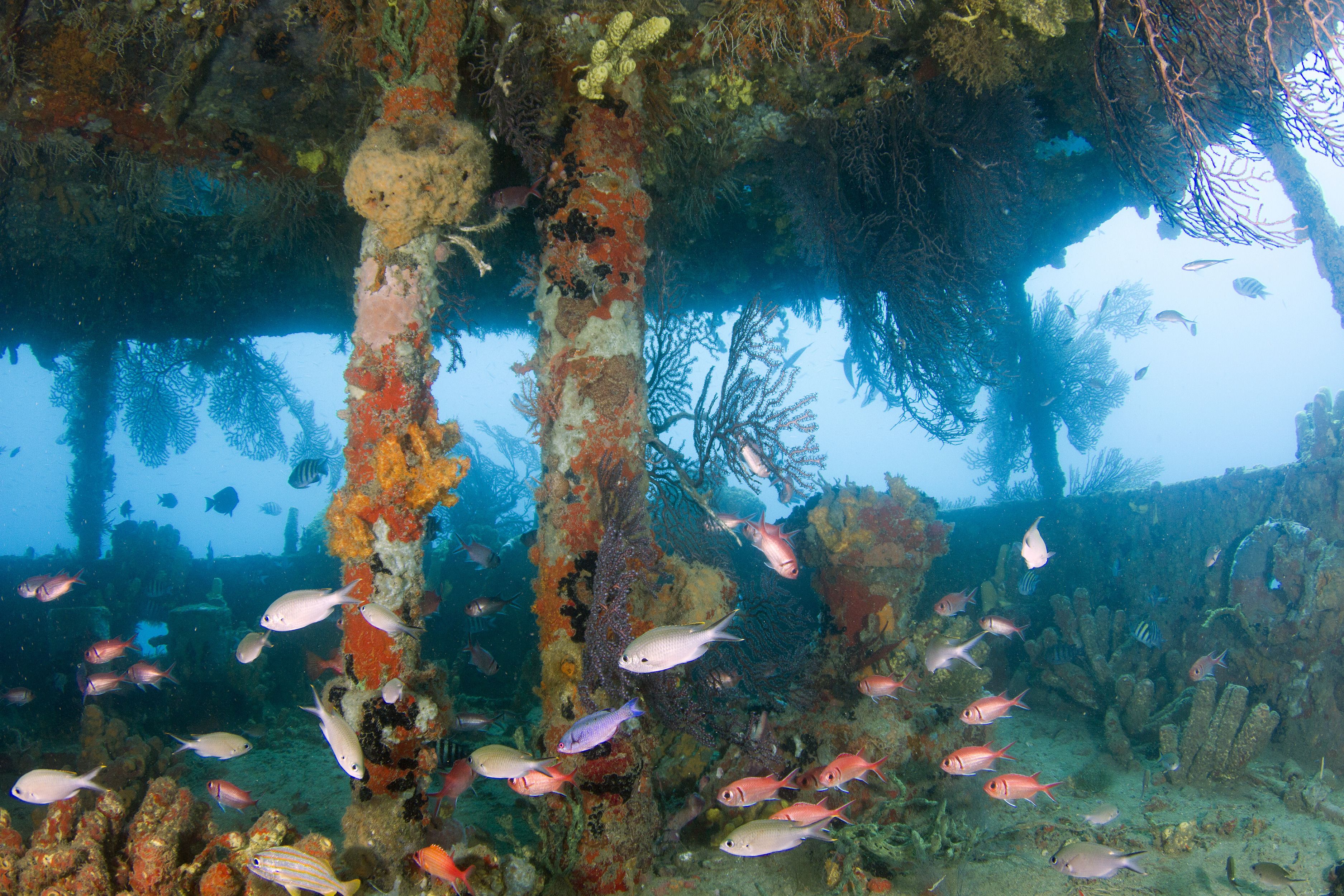 Photo - Ti Kaye Resort & Spa